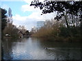 View of the gasometer from the duck pond