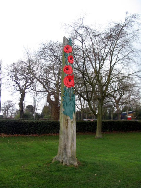 Carved poppies, Memorial Park