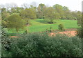 Trees and grassland along the River Severn