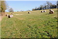 Hay bales in a field