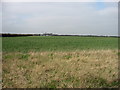 Fields north-west of Cambridge