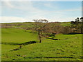 View to the River Dee