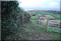 Bridleway to Bridport