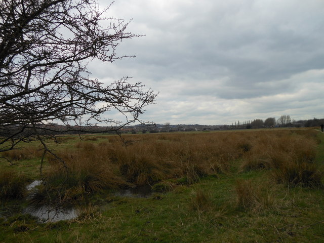 Woodhouse Washlands