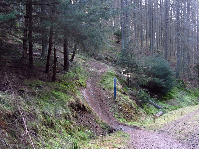 mtb trails west midlands