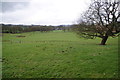 Green fields on the edge of Blackburn