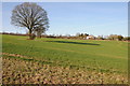 Herefordshire Trail at Fromes Hill