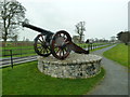 O0475 : Cannon at the entrance and drive to Oldbridge by Graham Hogg