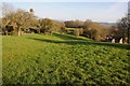 Field on Fox Hill