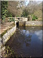 Mill Pond, Barford