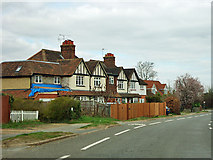 TQ0456 : Houses on Portsmouth Road by Robin Webster