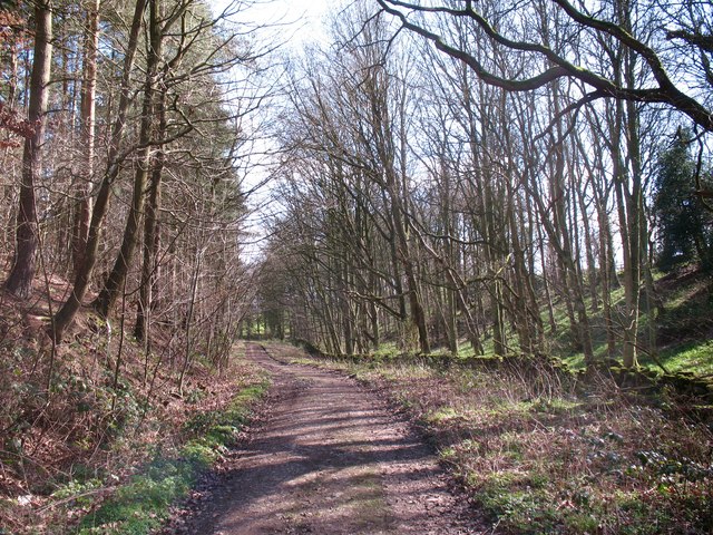 Woodland track, Nutwith Common © Gordon Hatton :: Geograph Britain and ...