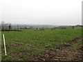 Farmland on Maryvale Hill