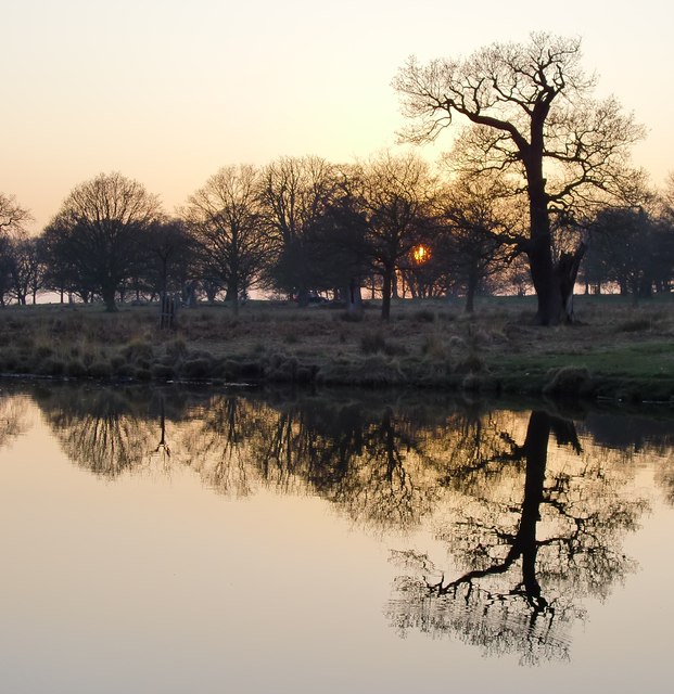 Sunset at White Ash Pond, Richmond Park