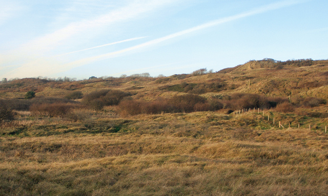 Fence and duneland, Merthyr Mawr Warren