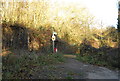 Bridleway off One Tree Lane