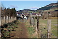 Path from Moulin near Pitlochry