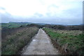 Track through Bothenhampton Nature Reserve