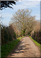 Restricted byway north of Elberry Farm