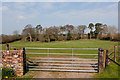 Field north of Little Manor, Ashton Lane