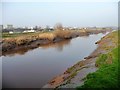 SE7021 : Dutch River, downstream of Rawcliffe Bridge by Christine Johnstone