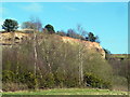 Croxden Quarry