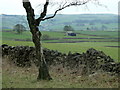 Countryside west of Tideswell