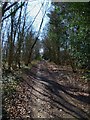 Bridleway towards St Mary