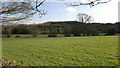 At the top of the hill is Croxden Quarry