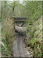 Cutting on abandoned railway at Totmonslow