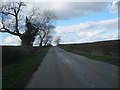 Girlington Bank north of Hutton Magna