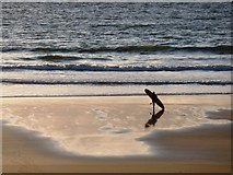 SS4543 : Lone Surfer at Woolacombe Beach by Tom Jolliffe
