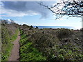 South West Coast Path near Budleigh Salterton