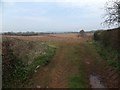 Field on west of Halberton