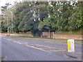 Old Main Gate: Stewart Family Home - Ferndown