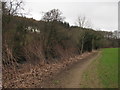 Rhymney River Circular Walk near Draethen