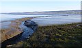 NH5548 : Stream flowing through the mudflats by Craig Wallace
