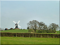 TQ8331 : Rolvenden Windmill by Robin Webster