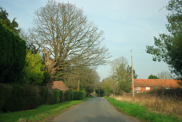 Walkhurst Road © Robin Webster cc-by-sa/2.0 :: Geograph Britain and Ireland