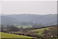 Mid Devon : Countryside Scenery