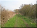 SK7551 : Trent Valley Way by Jonathan Thacker