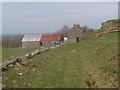 Ffarm Hafod Gruffydd Farm