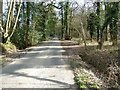 Boundless Road with Boundless Copse on the right