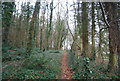 Footpath to the church