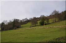 SS9623 : Mid Devon : Grassy Hillside by Lewis Clarke