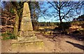 SY7292 : Higher Bockhampton: Monument to Thomas Hardy by Mr Eugene Birchall