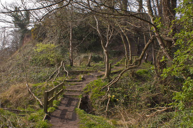 The Mersey Way, the path climbs