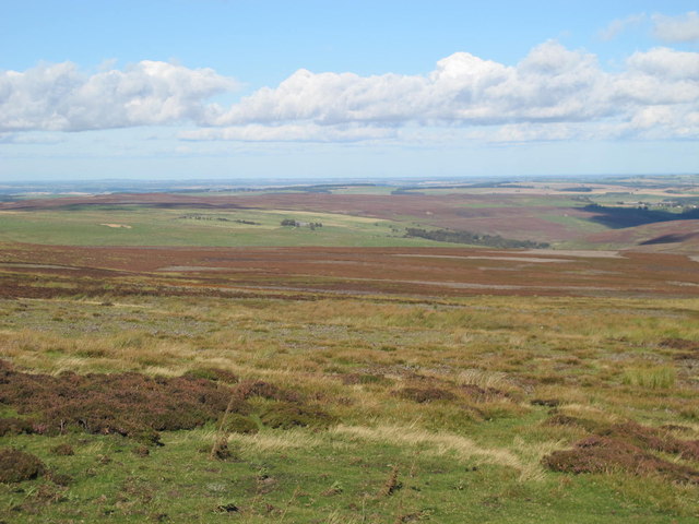 Edmundbyers Common south of Burnhope... © Mike Quinn :: Geograph ...