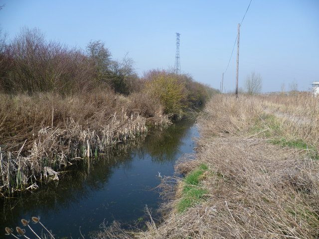 Dyke on Swanscombe Marshes