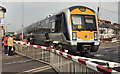 Level crossing, Coleraine (6)